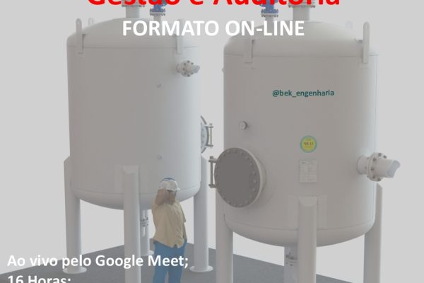 Treinamento Gestão Auditoria NR13
